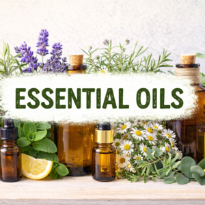 chatgpt image feb 24, 2026, 03 56 08 pm