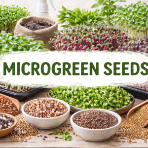 chatgpt image feb 24, 2026, 04 06 11 pm